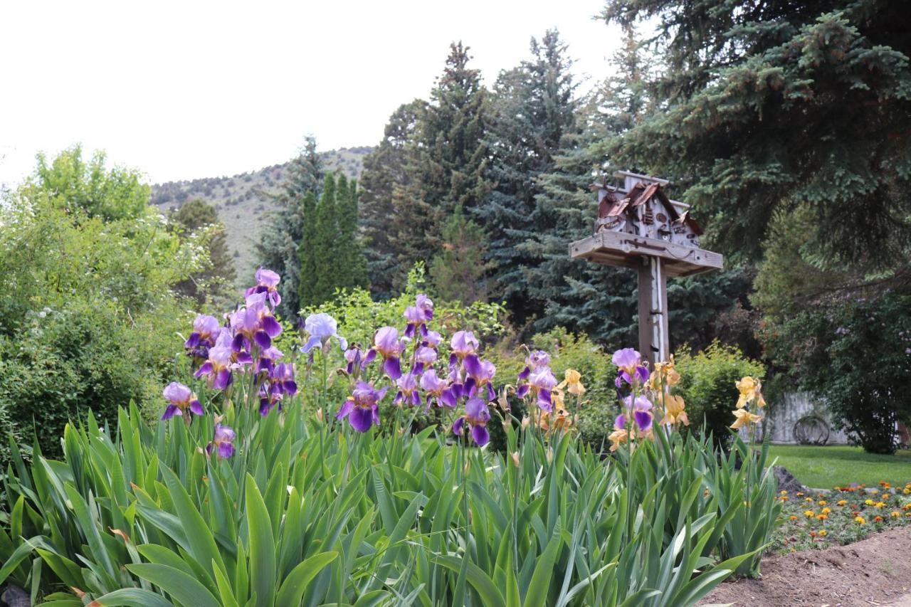 View Lodge