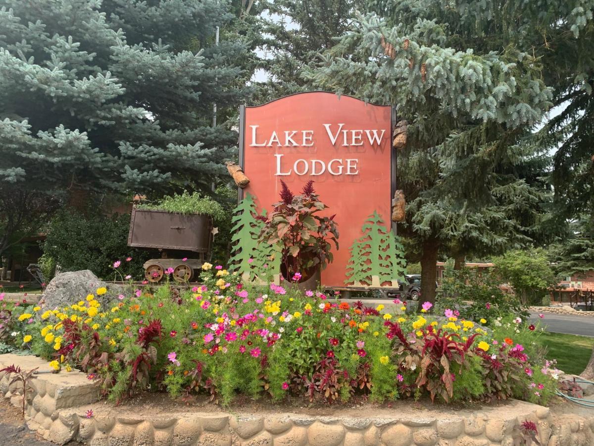 View * Lee Vining